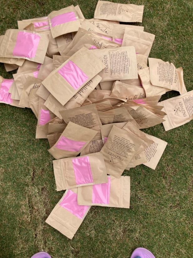 Pink - Authentic Organic Holi Color - Image 2